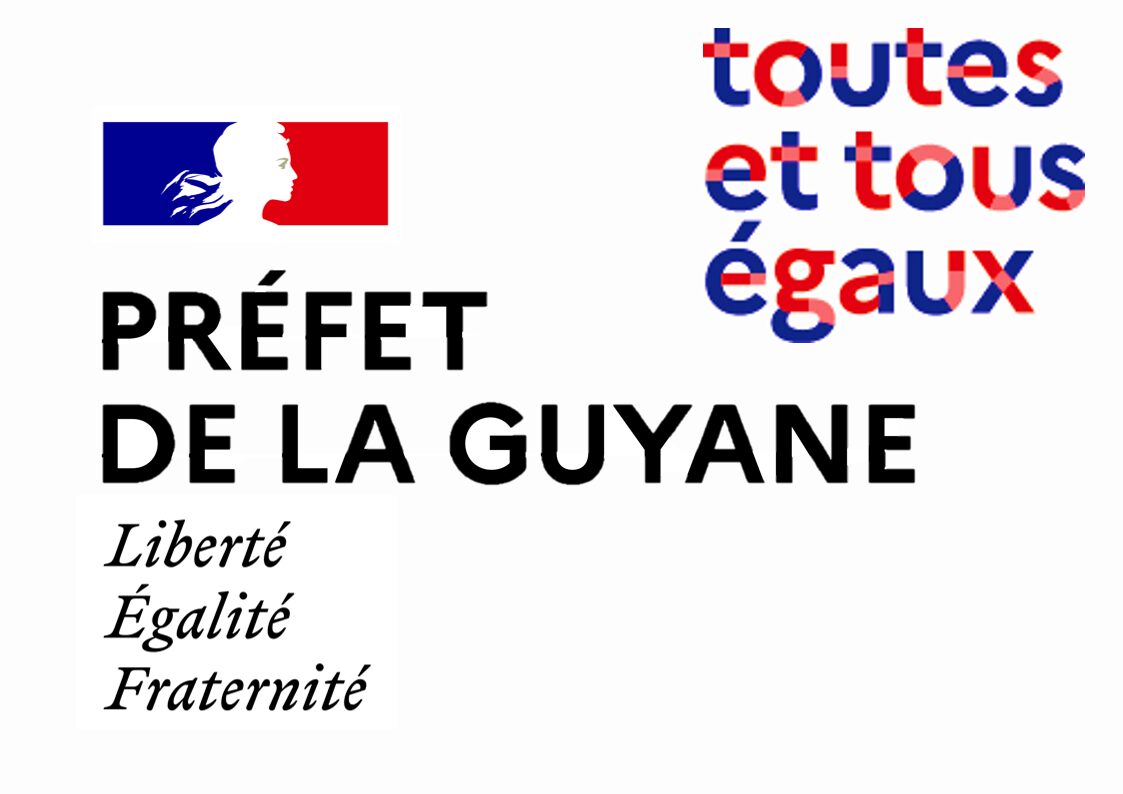 Logo_site_web_-_DRDFE_Guyane.jpg